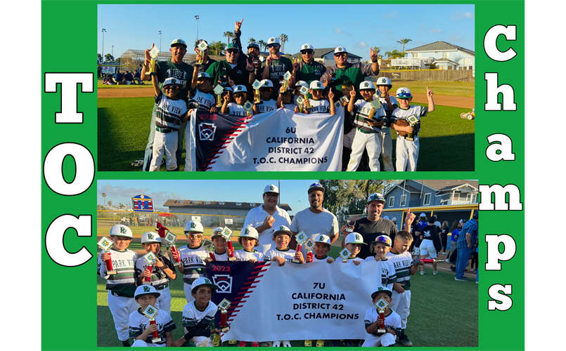 All 19 HR From Chula Vista Little League's Record Breaking 2009 LLWS  Park  View (Chula Vista, Calif.) Little League came to Williamsport in 2009 and  hit 19(!) home runs. The most