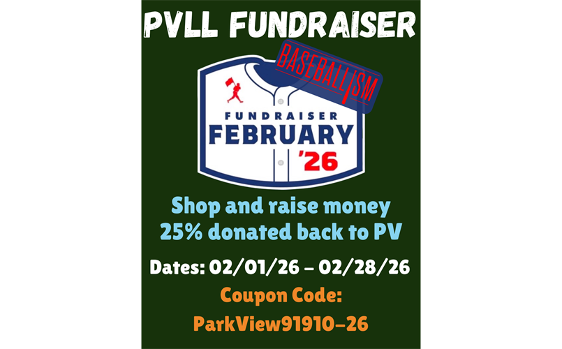 Sponsorship Fundraiser - Baseballism